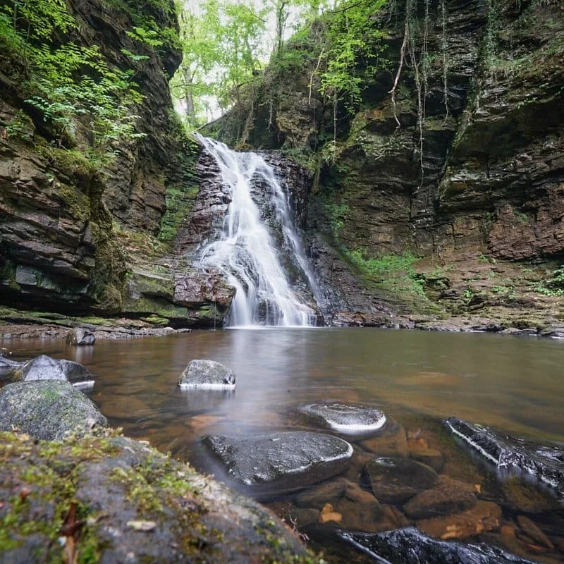 Hareshaw Linn